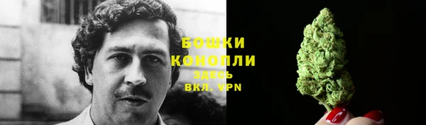 соль курить ск Белокуриха