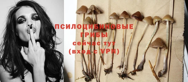 соль курить ск Белокуриха