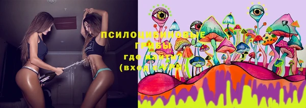 соль курить ск Белокуриха
